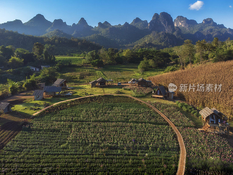 在泰国清莱省的Doi Luang Chiang Dao，日出时美丽的空中景观。